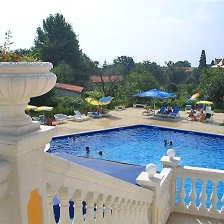 Dahlia Garden غولدن ساندز