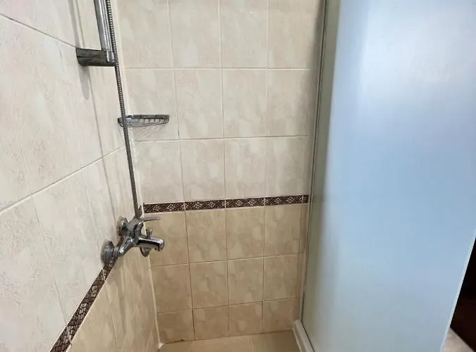 Dahlia Garden 金沙