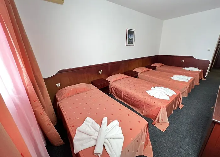 Dahlia Garden Golden Sands